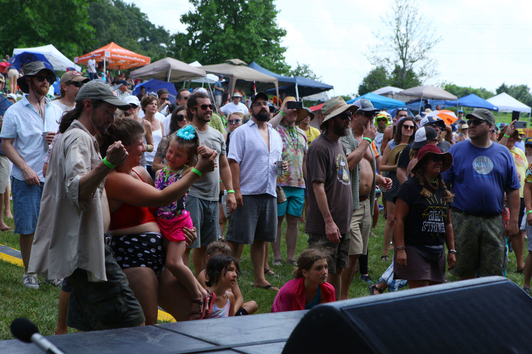 Gallery: Lightning Bug Music Festival